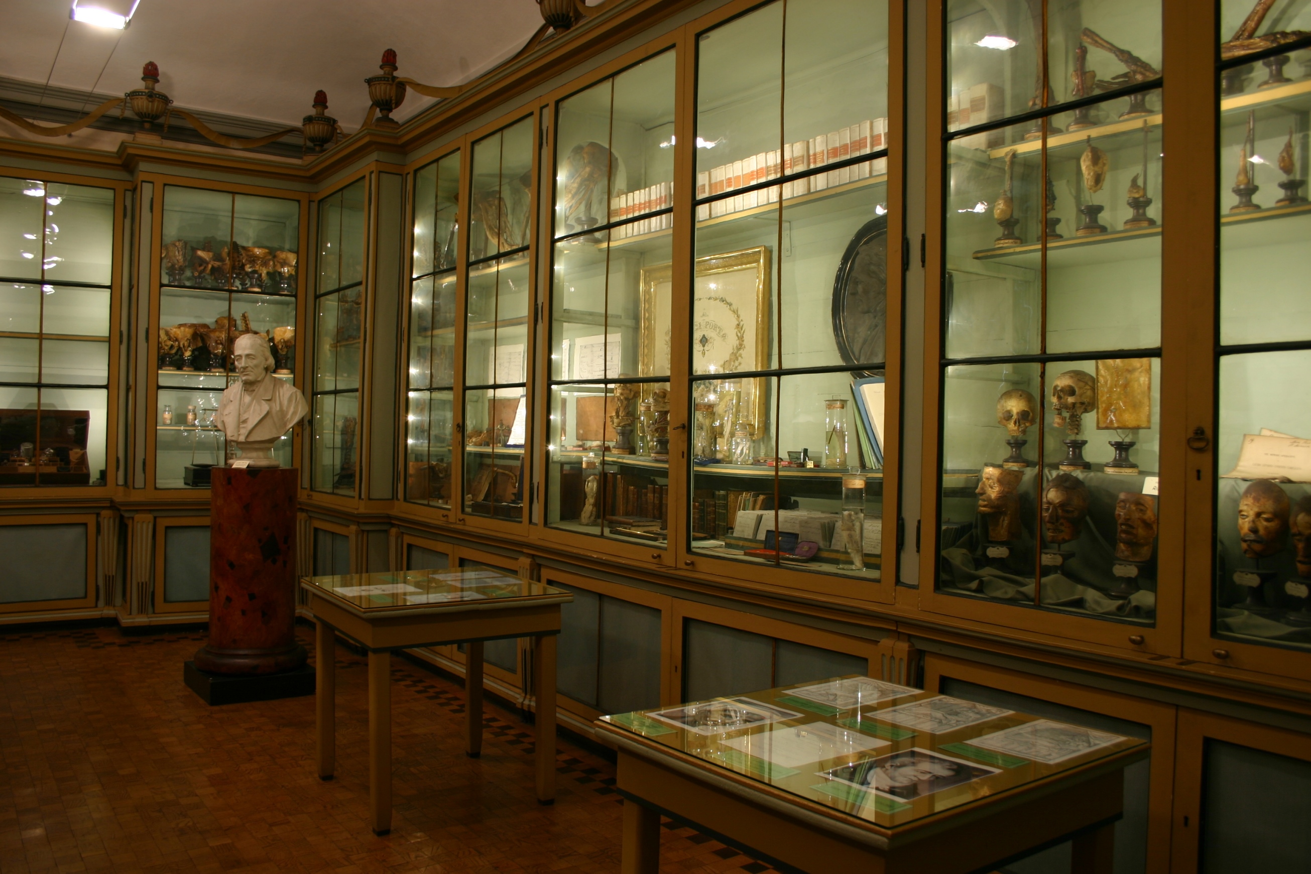 Luigi Porta's memorabilia, Museo per la Storia dell'Università, Pavia (3).JPG